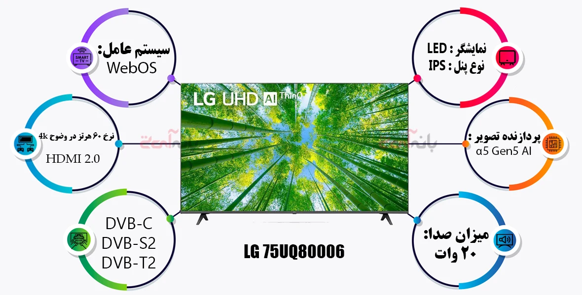 اینفوگرافی معرفی کامل تلویزیون ال‌جی 75UQ80006