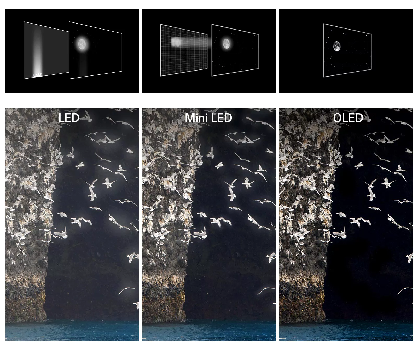 نسبت کنتراست در تلویزیون های LED, مینی LED و OLED