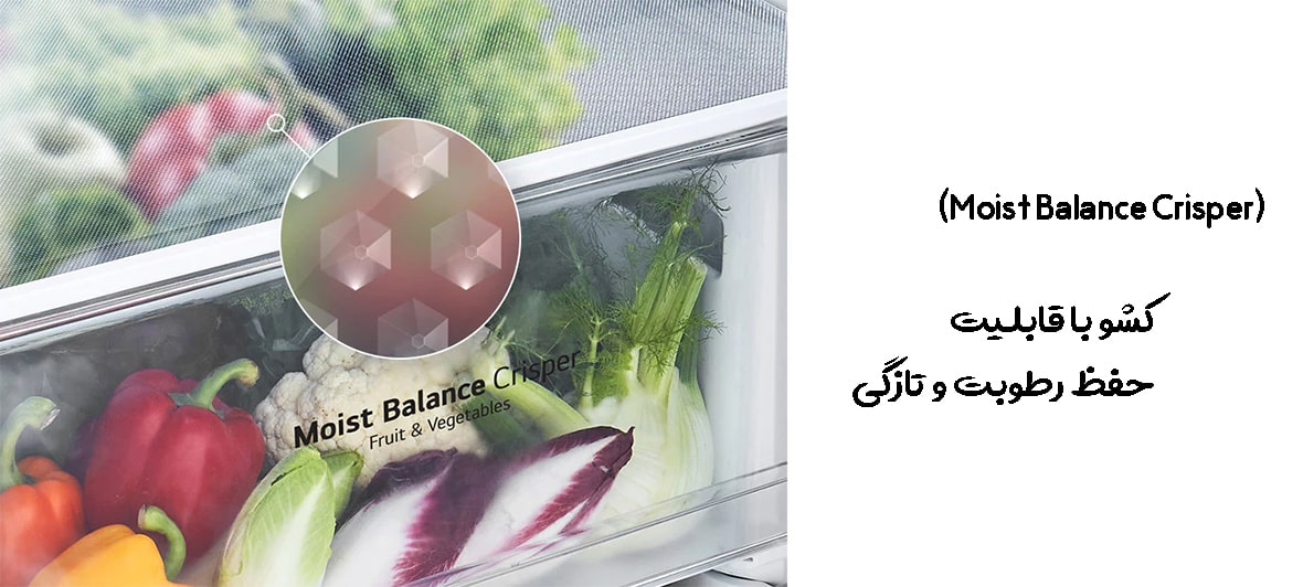 کشوی Moist Balance Crisper