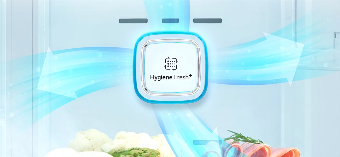 فیلتر Hygeine Fresh